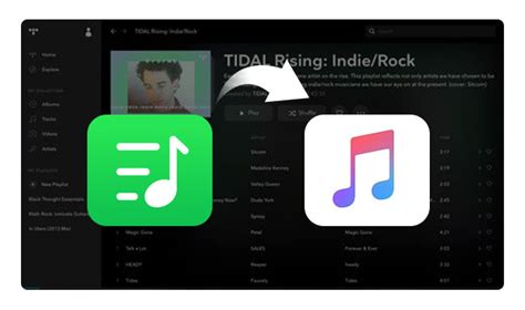 apple music playlist to tidal