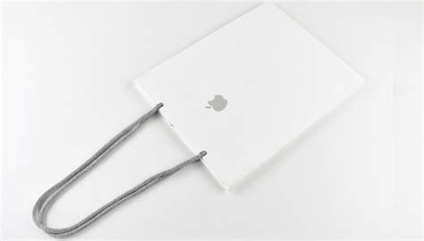 Apple Packaging Paper Bags