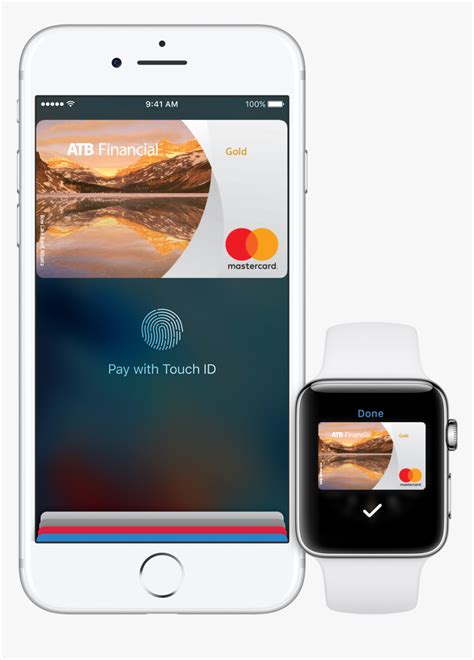 Apple Pay Passport