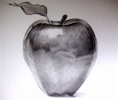 25K  Sample Apple Pencil Sketch Drawing For Kids