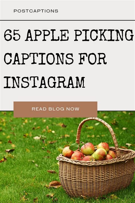 apple picking captions for instagram