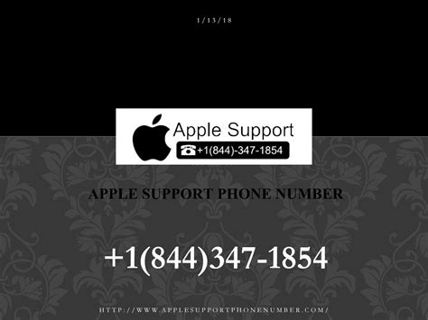 apple repair contact number