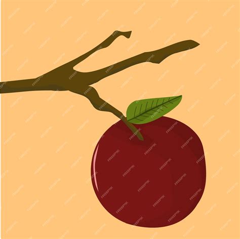 Apple Stem Clipart