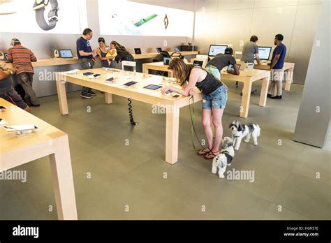 Apple Store Dogs Allowed