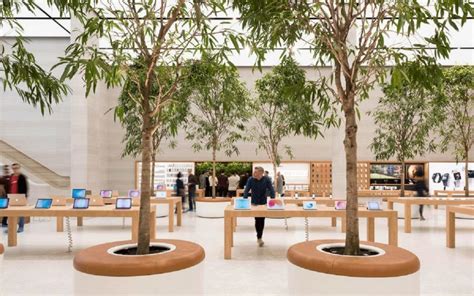 Apple Store Tree Inside