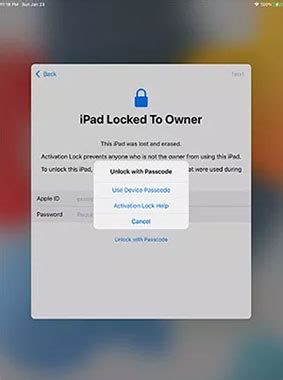 apple support ipad locked