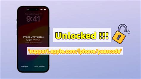 Apple Support Iphone Locked