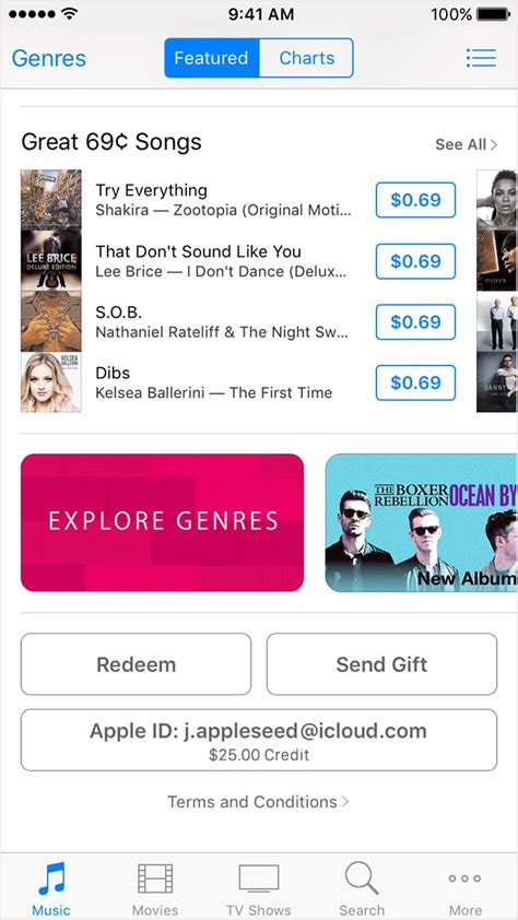 apple support.codes