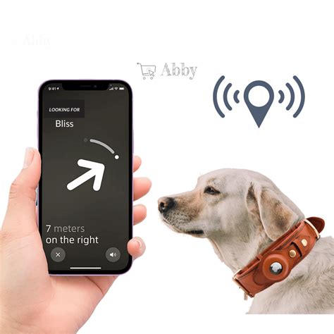 apple tracker for dogs