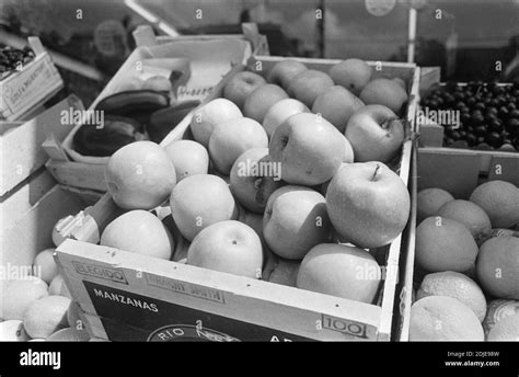 apple trade in netherlands
