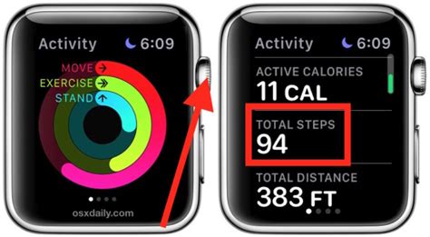 Apple Watch 6 Pedometer App