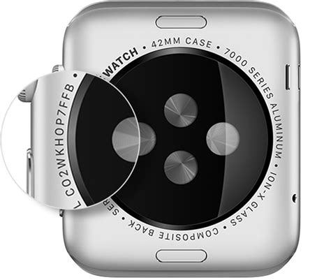 apple watch serial number example