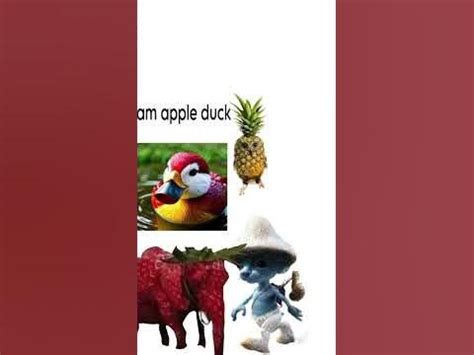 appleduck xvideos