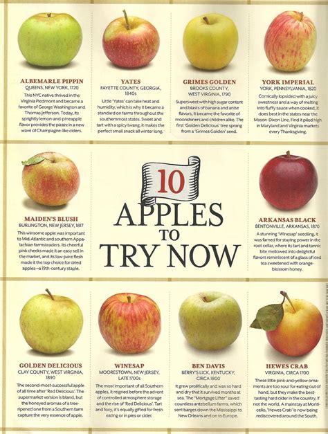 Apples Cooking Vs Eating