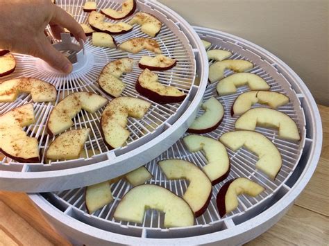 Apples In Dehydrator