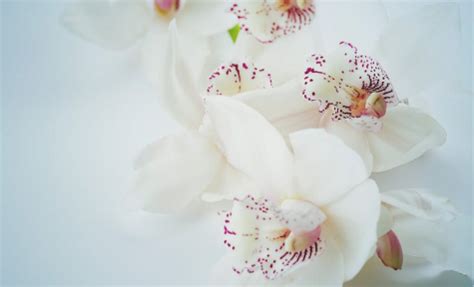 appleyards obituaries