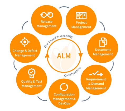 application lifecycle management process