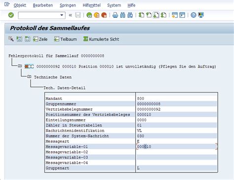 Application Log Error In Sap