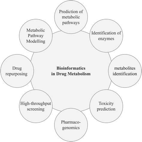 application of bioinformatics in drug designing pdf