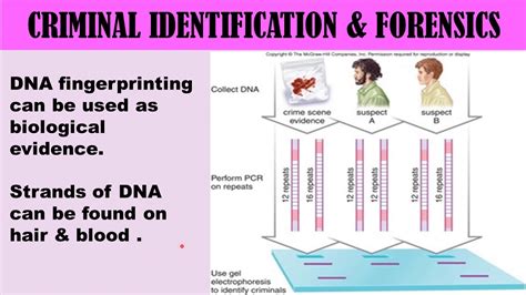 application of dna fingerprinting