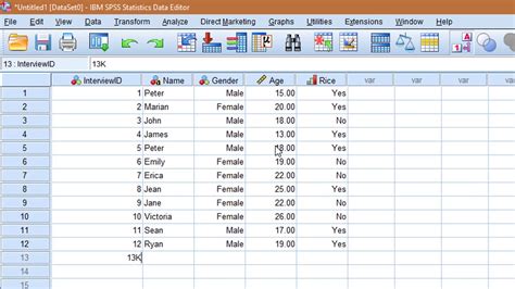 application of excel and spss in statistical analysis
