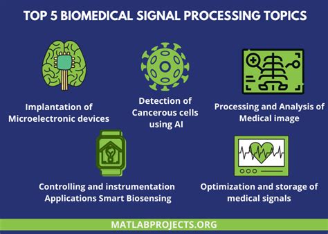 application of signal processing in biomedical engineering