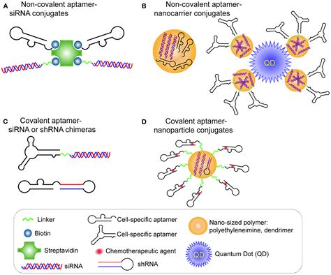 applications and challenges of psma aptamer