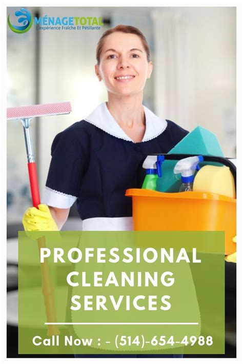 Domestic Cleaner House Cleaning