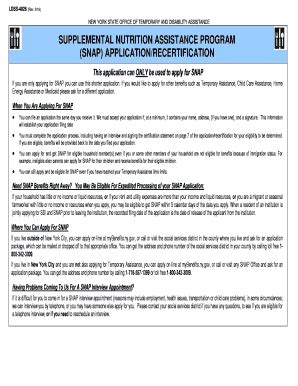 apply for ga snap benefits online
