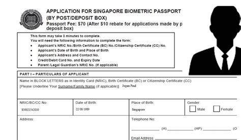 apply ica passport