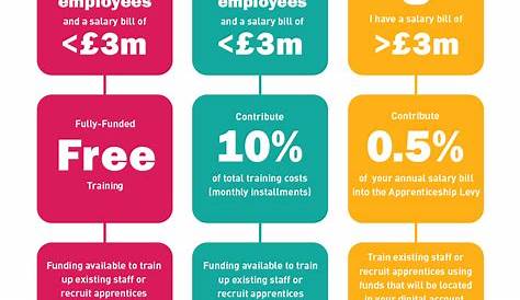 The Apprenticeship Levy Explained