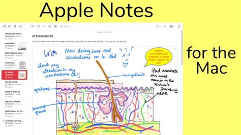 apps to take notes on mac