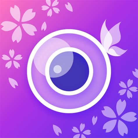 Apps Youcam Perfect Camera