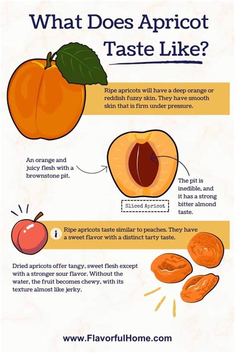 apricot taste like