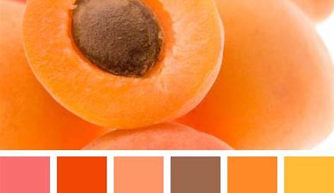 Die Wandfarbe Apricot 35 Ideen und Tipps zum Kombinieren