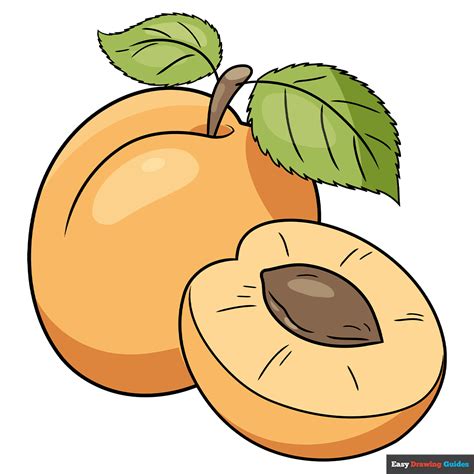 Apricots Drawing