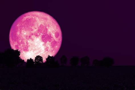 april full moon pink moon