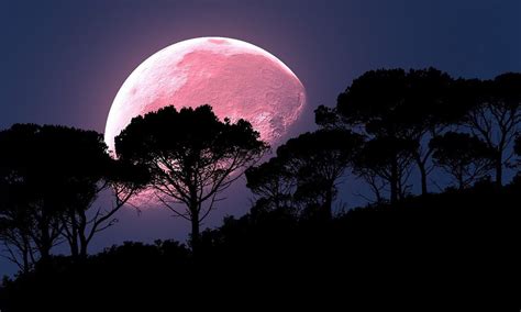 april pink moon 2022