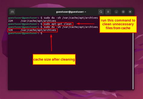 apt get refresh cache