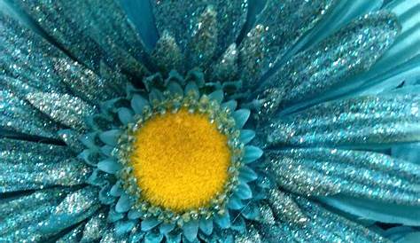 Aqua Color Flowers Image Result For Wooden