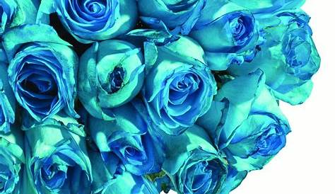 Aqua Flowers SILK PEONY FLOWER Turquoise Blue/ 651