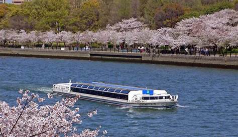 Aqualiner Osaka Route AQUALINER Castle / Nakanoshima Tour Details