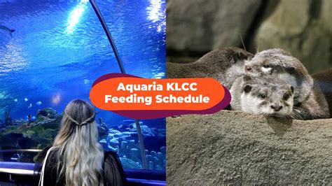 Aquaria Klcc Time Limit