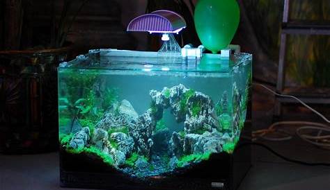 Aquarium Avec Eclairage Led Éclairage De La Cuisine