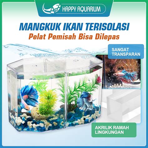 Aquarium Cupang Kamar