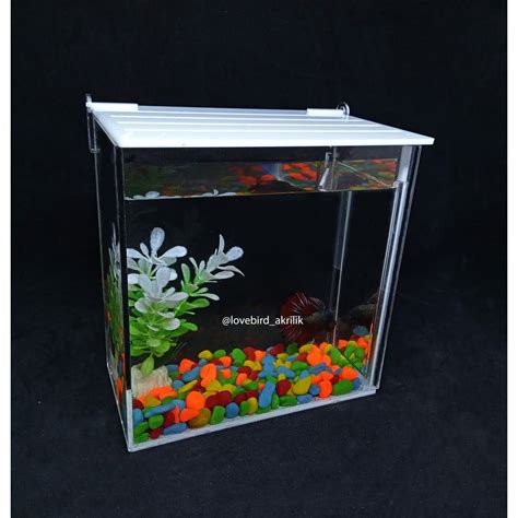 Jual Akuarium Ikan Cupang Akrilik Aquarium Mini Acrylic Mi