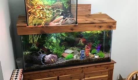 Aquarium Topic Ideas Square Glass Coffee Table Living Room Fish Tank Table