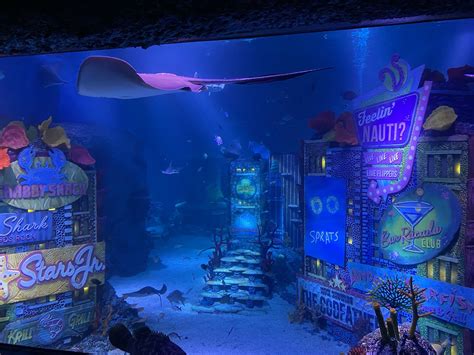 aquarium at american dream mall