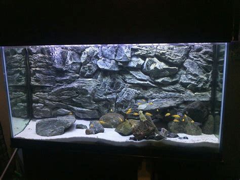 Aquarium Background Grey