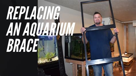 Aquarium Brace Replacement